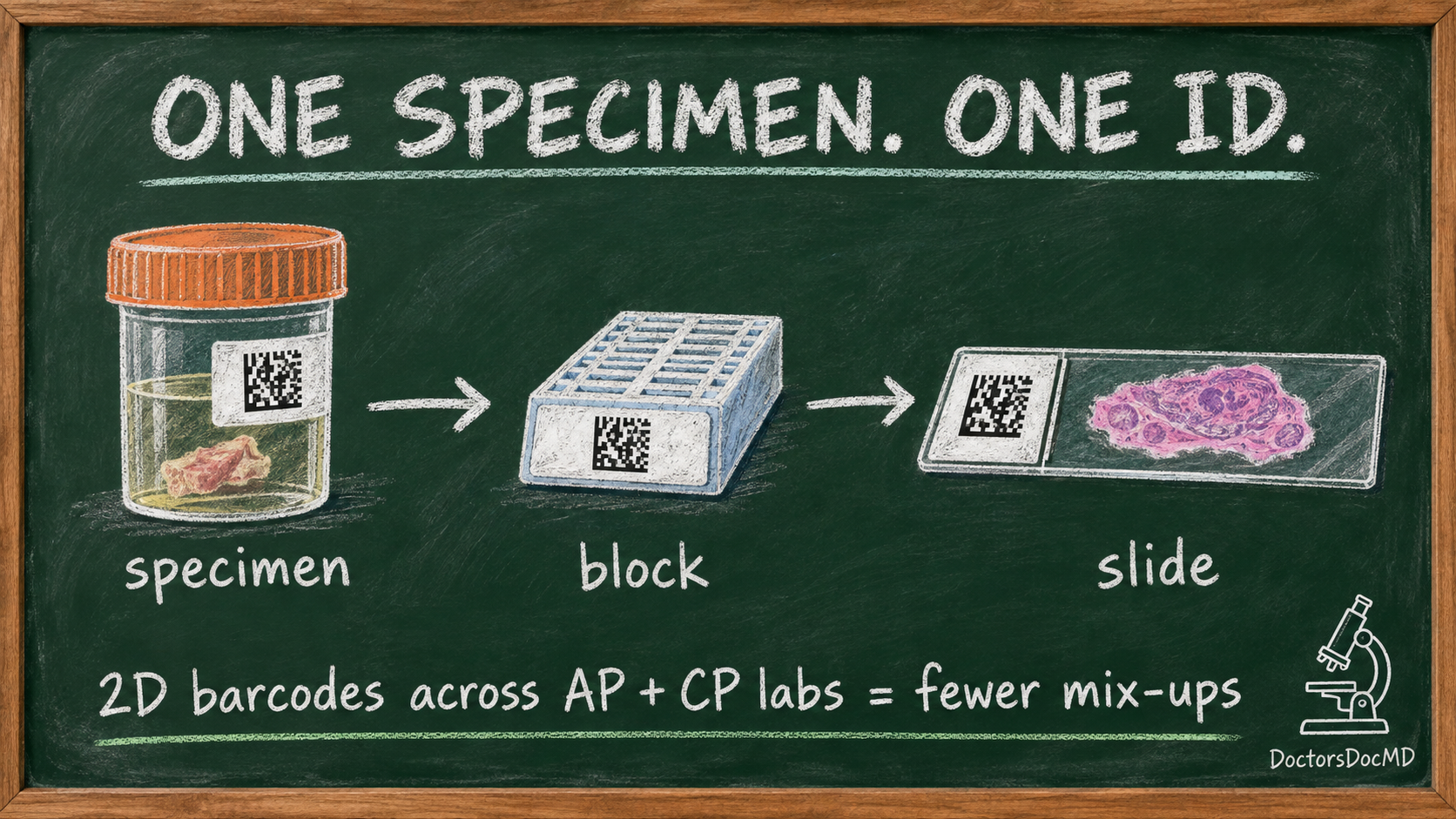Chalkboard illustration of a specimen jar, tissue block and slide, each with a barcode, under the words One specimen. One ID.